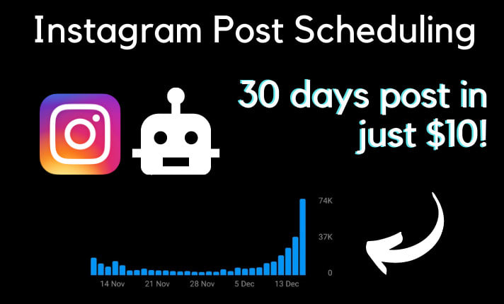 I will schedule instagram posts of a month professionaly