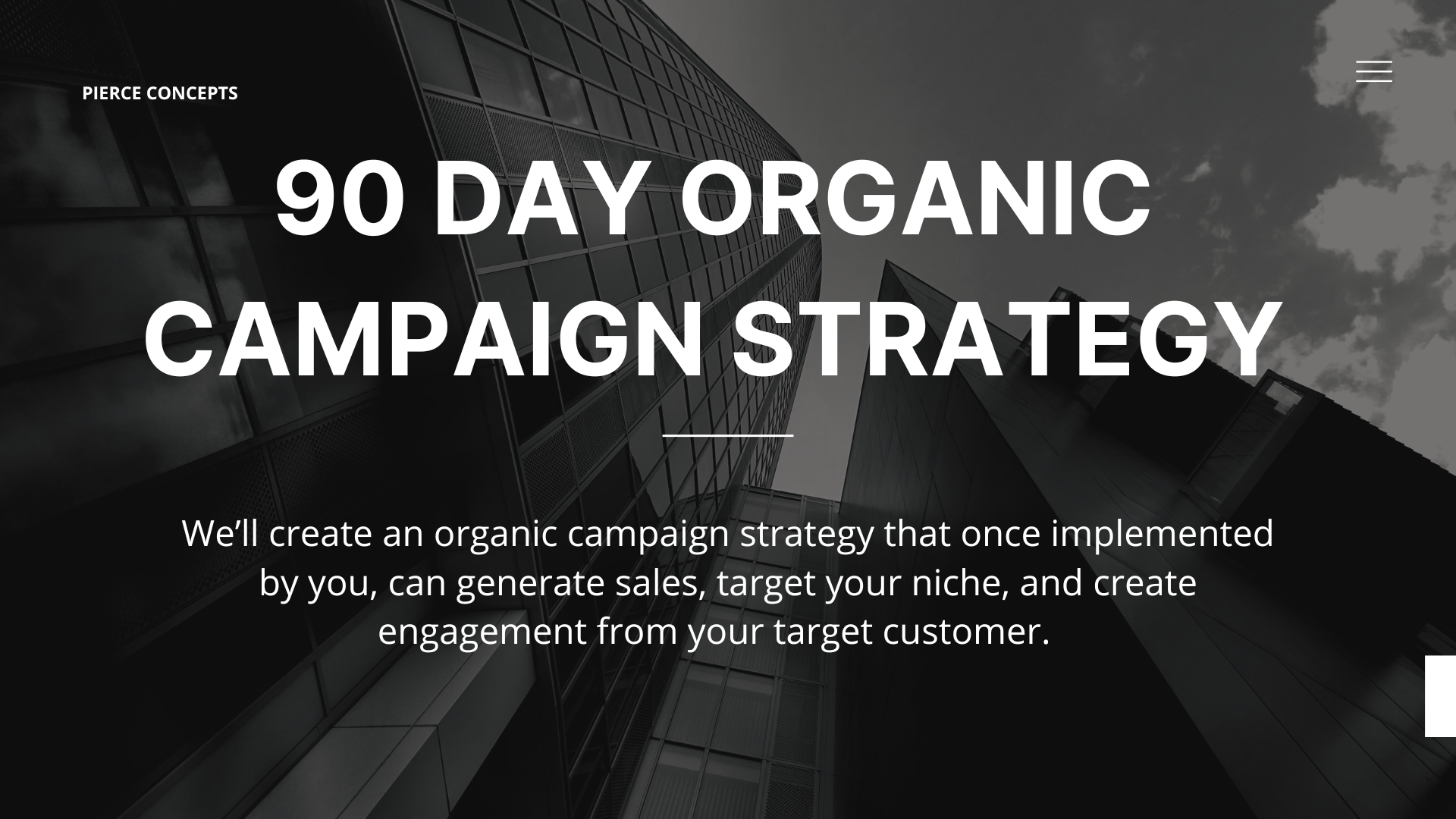 90 Day Organic Campaign Strategy