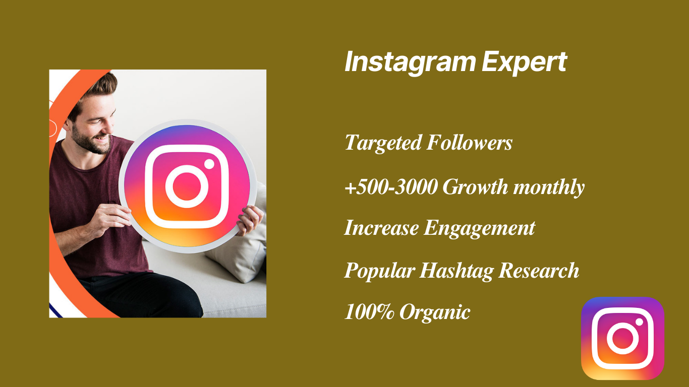 I will professionally grow your Instagram page organically