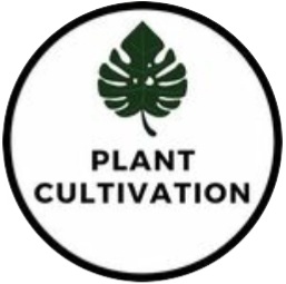 Plant related promotion