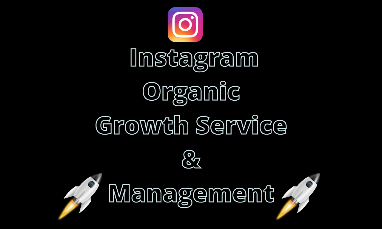 I will grow your Instagram Professionally