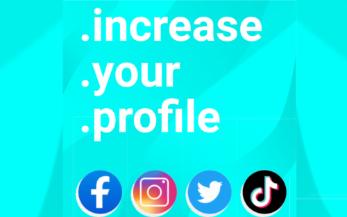 I will increase your profile followers likes views and comments
