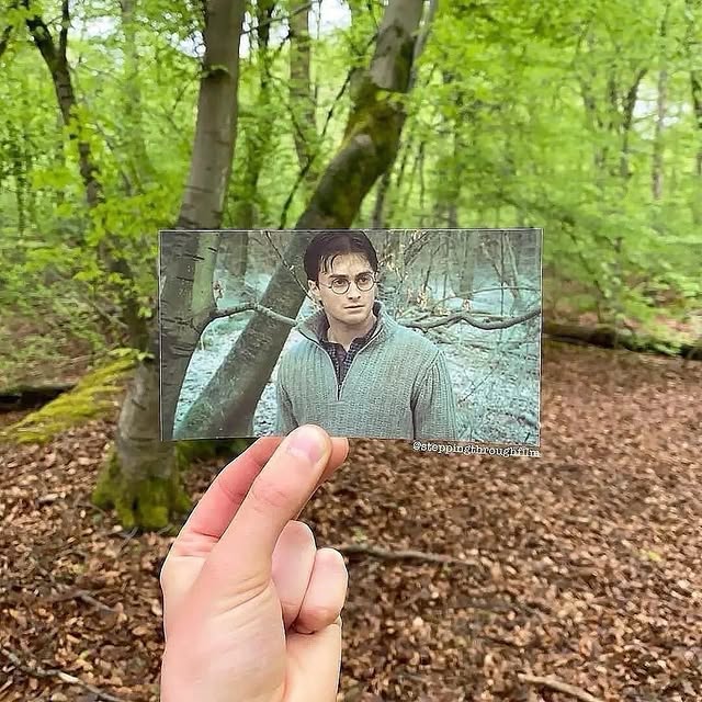  .......rfervor   'recent posts' 