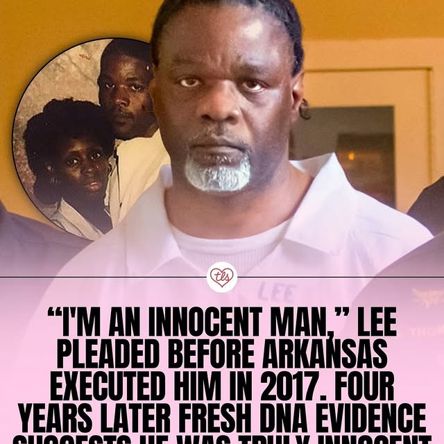  .....vid.s   'recent posts' 