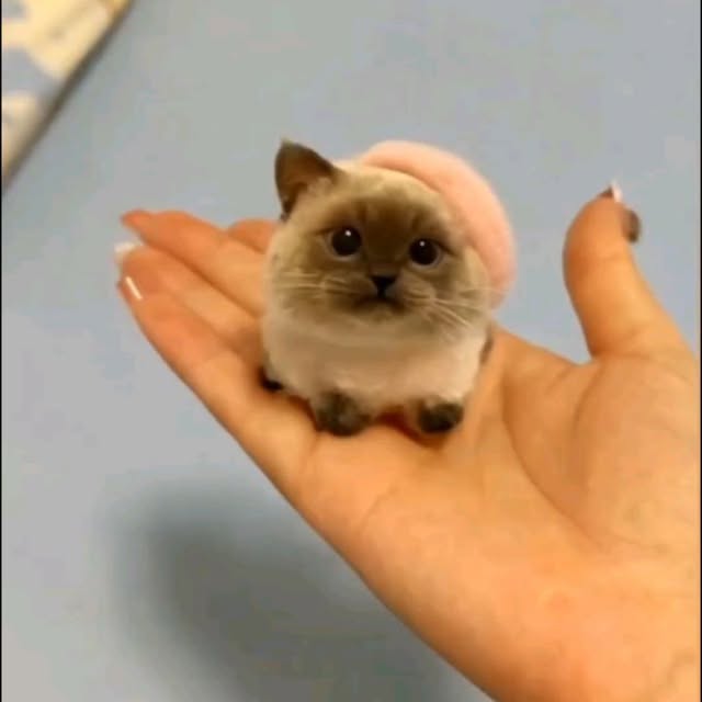  .......uteness1   'recent posts' 