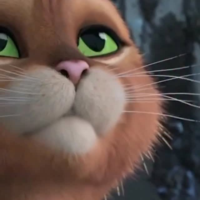  .....scine   'recent posts' 