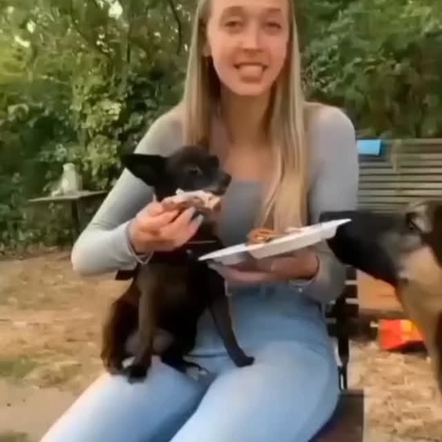  ....iming   'recent posts' 