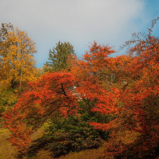  ..........discoverer   'recent posts' 