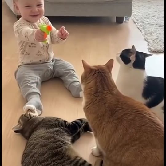  .......plorers   'recent posts' 