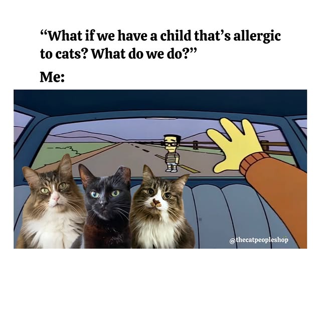  ...........irtonguesout   'recent posts' 