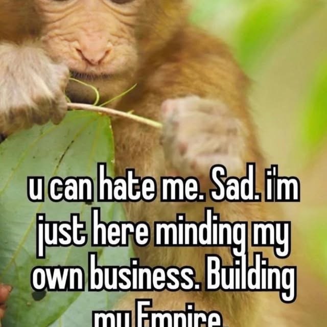  .......posting   'recent posts' 