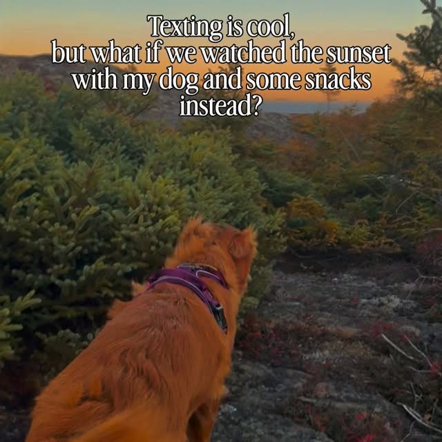  ......atoller   'recent posts' 