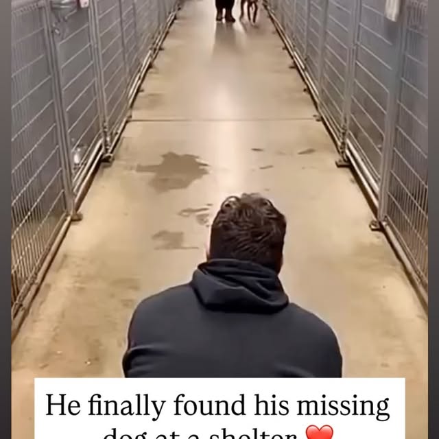  ....s.acc   'recent posts' 