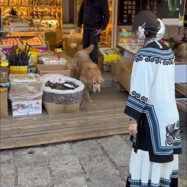  ........vel.club   'recent posts' 