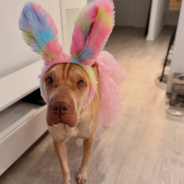  ......i.world   'recent posts' 