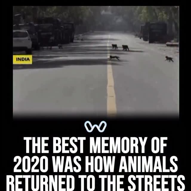  ........alth_club   'recent posts' 