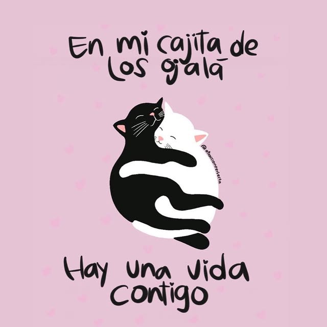  ........nperfecta   'recent posts' 