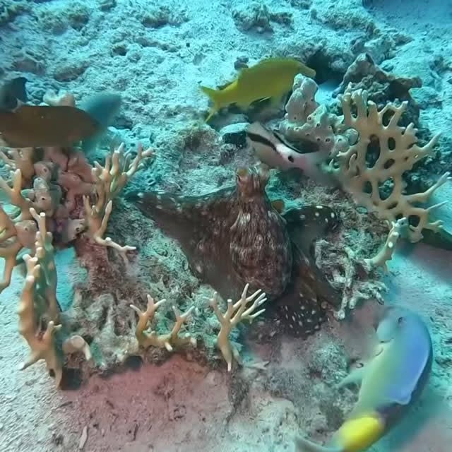  ......urneys   'recent posts' 