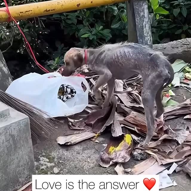  ........malsgram   'recent posts' 