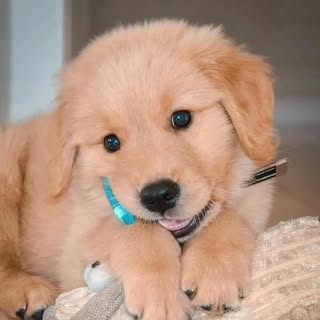 Hire .......page_ influencer with 181.8k