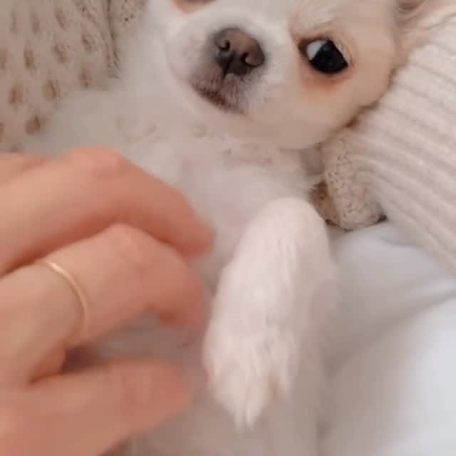  .......uapuppy   'recent posts' 