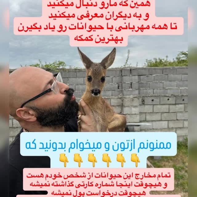  .........lavanzadeh   'recent posts' 