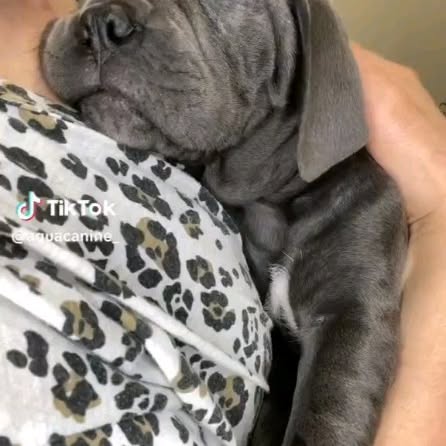  ........o.castle   'recent posts' 