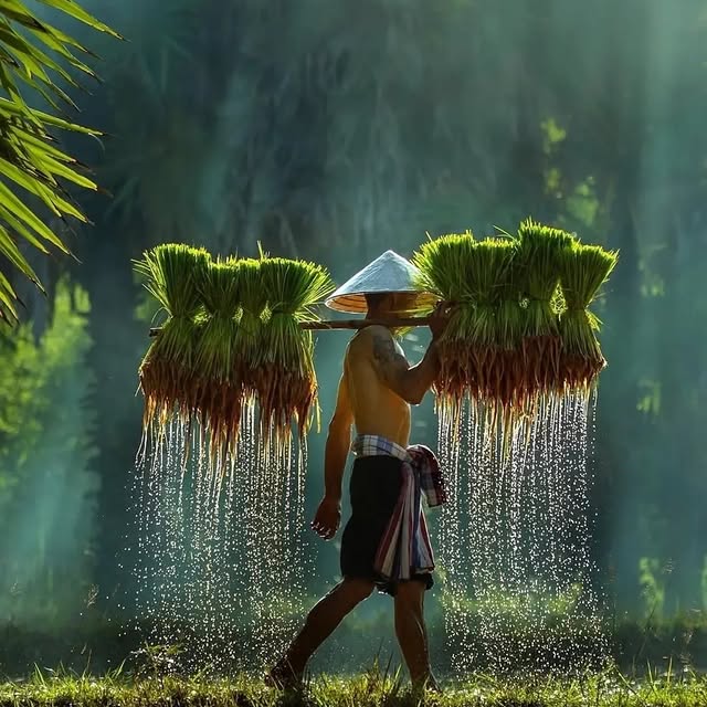  ......ravels   'recent posts' 