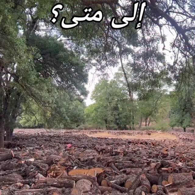  ......my_city   'recent posts' 