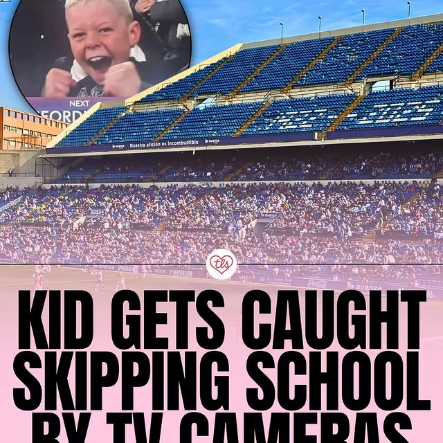  .....vid.s   'recent posts' 