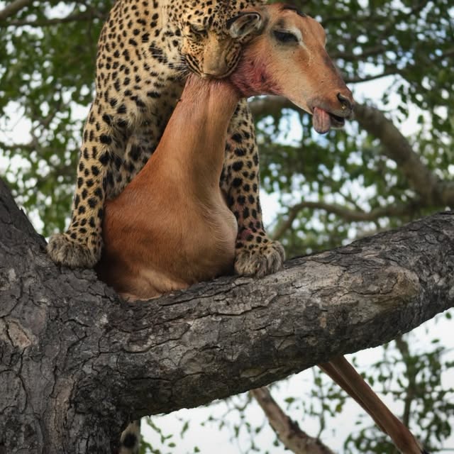  .........._sightings   'recent posts' 