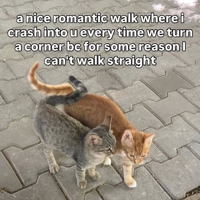  ......urluck   'recent posts' 