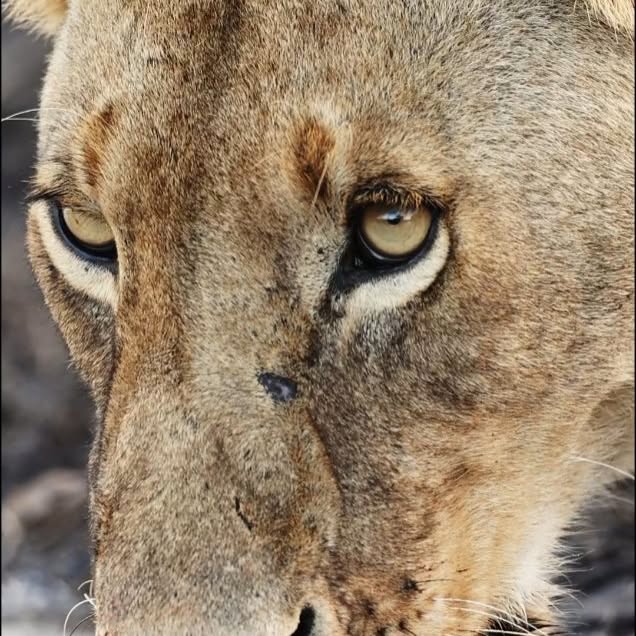  .........._sightings   'recent posts' 