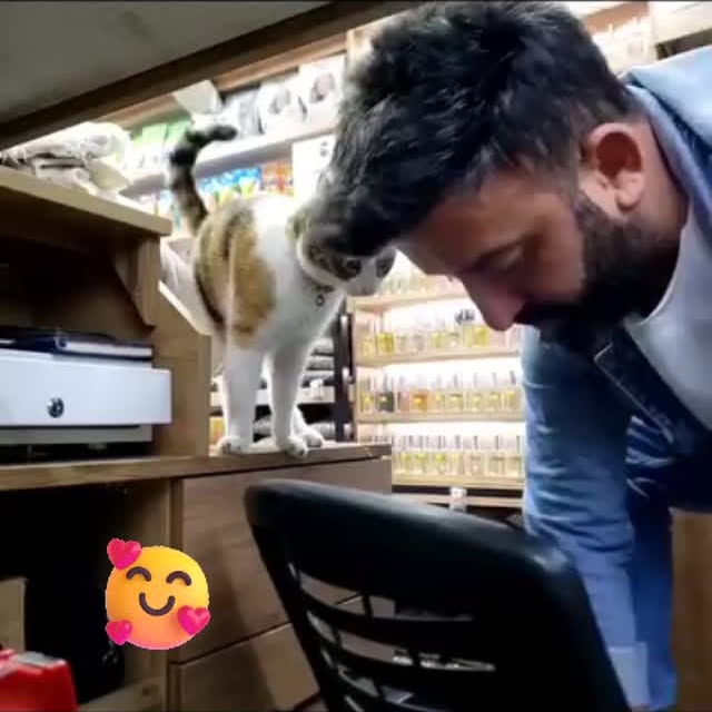  ......imalshq   'recent posts' 