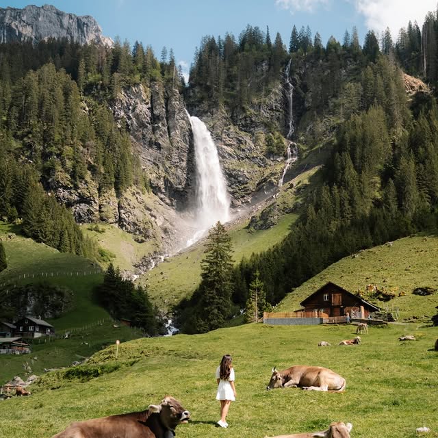  ..........altraveler   'recent posts' 