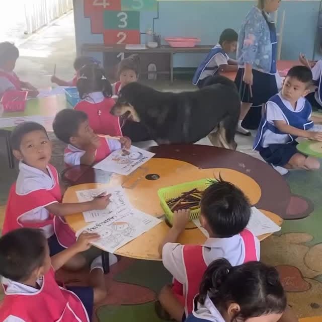  ......imalshq   'recent posts' 