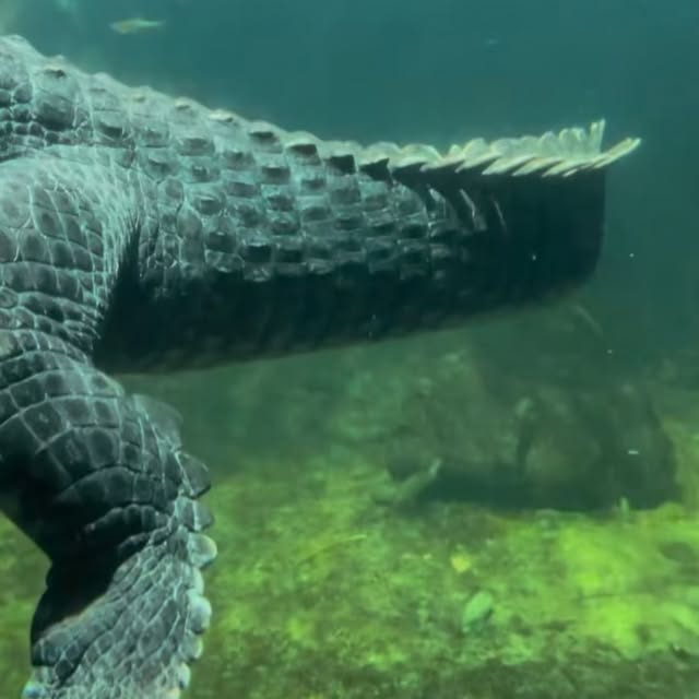  .....lorida   'recent posts' 