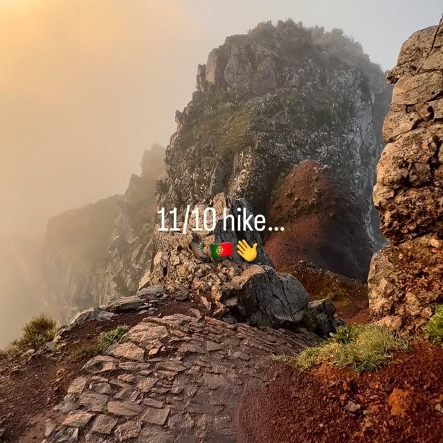  ........iewpoint   'recent posts' 