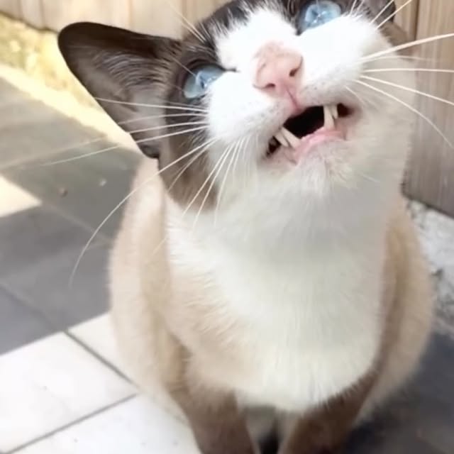  ......kekkek   'recent posts' 