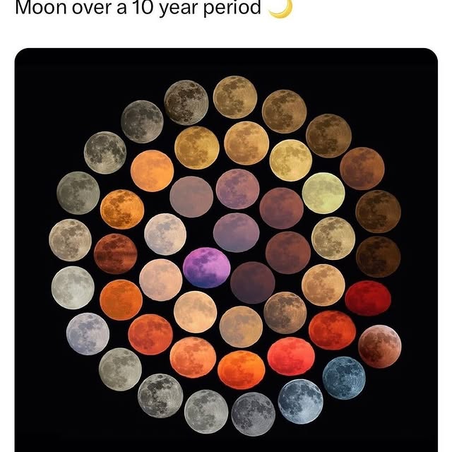  ......seviewz   'recent posts' 