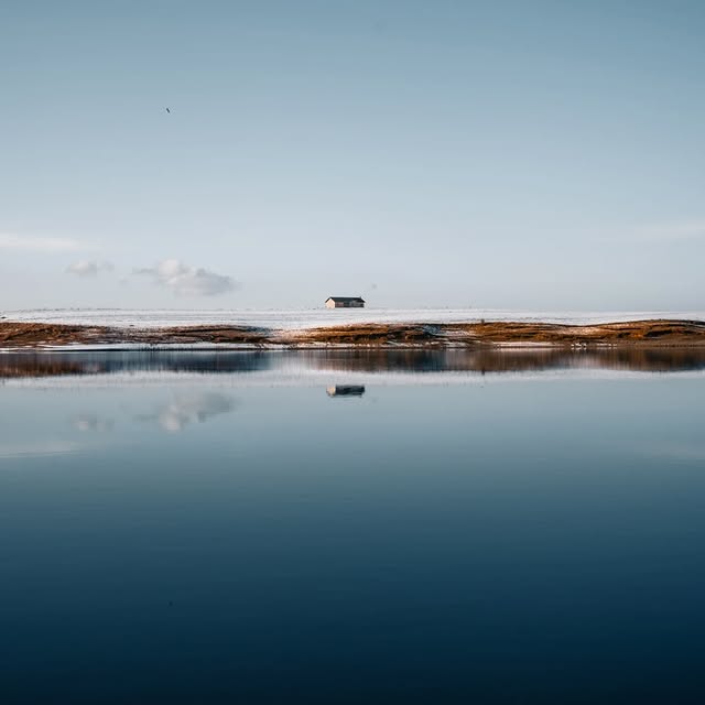  ....ylux   'recent posts' 