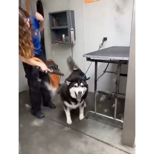  .....ibess   'recent posts' 