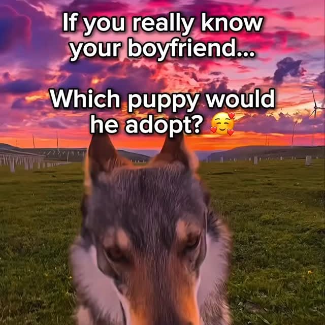  .....iesta   'recent posts' 