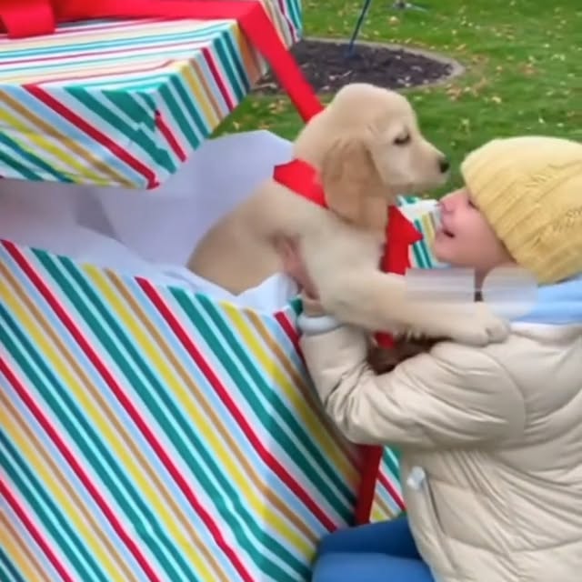  .....sland   'recent posts' 