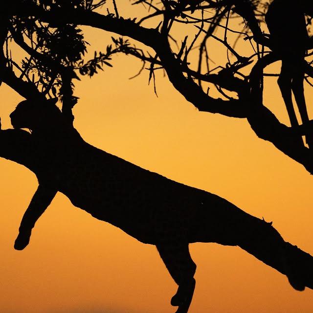  .........._sightings   'recent posts' 