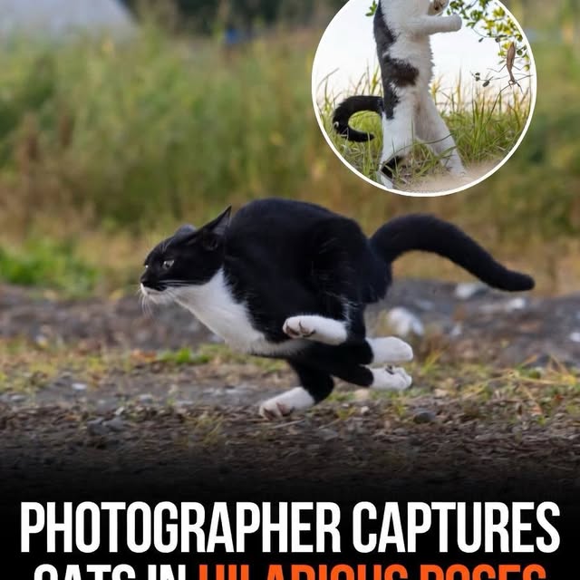  ......fervor   'recent posts' 