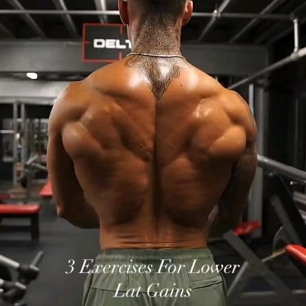  ......tshield   'recent posts' 