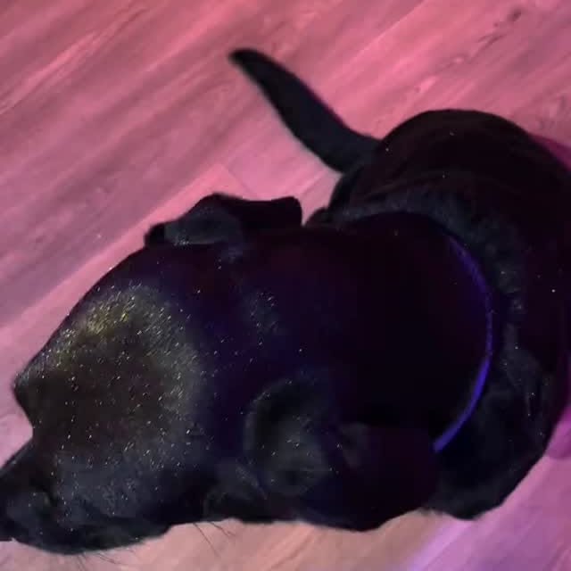  ....ofk9   'recent posts' 