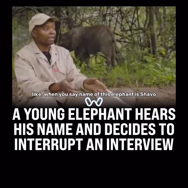  ........alth_club   'recent posts' 