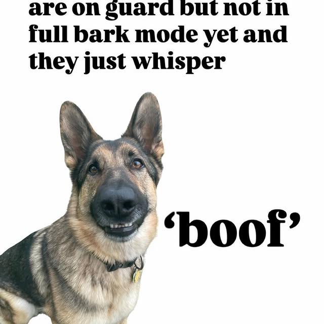  ......iends2   'recent posts' 